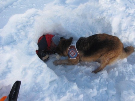 Usposabljanje vodnikov reševalnih psov GRZS - Vršič 2013 
